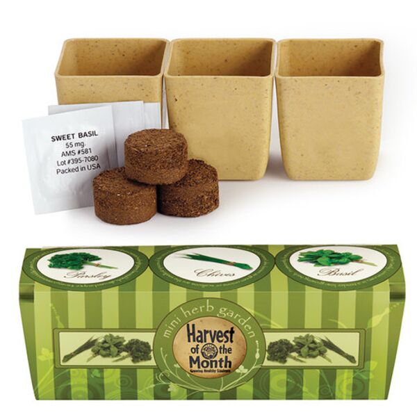 Growpot Eco-Planter Herb 3-Pack Thumbnail