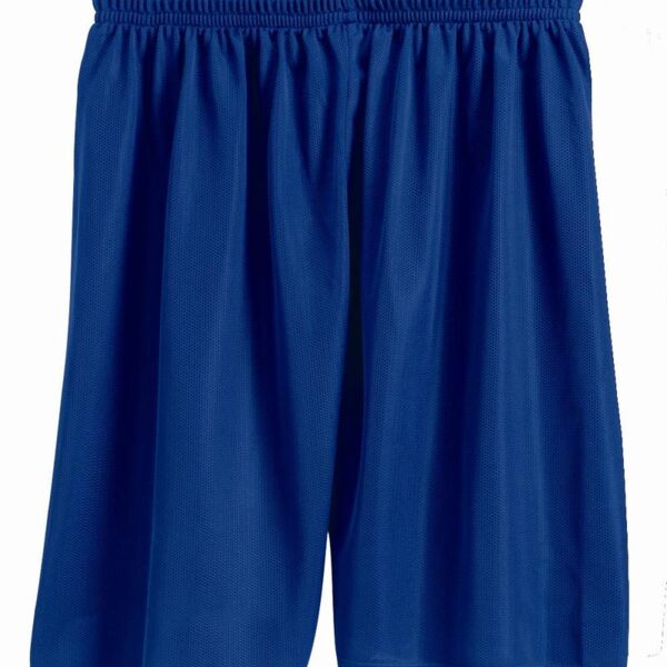 Men's Mini Mesh 7'' Inseam Shorts Thumbnail